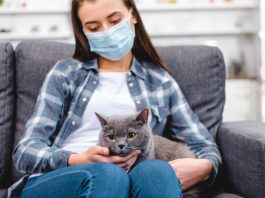 Alergia la pisici: Simptome, Cauze, Tratament medicamentos
